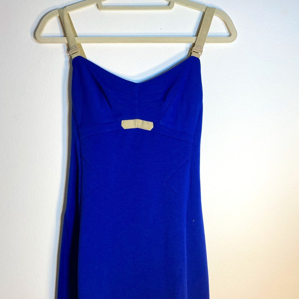 Women's Blue and Beige Bodycon Dress